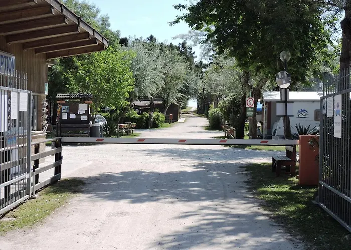 キャンプ場 Reno Village *