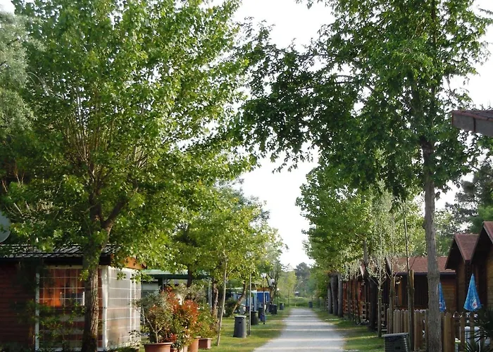 キャンプ場 Reno Village *