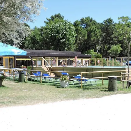 Reno Village Camping *