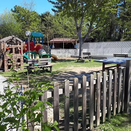 Reno Village Camping