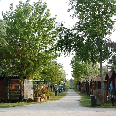 Campsite Reno Village *