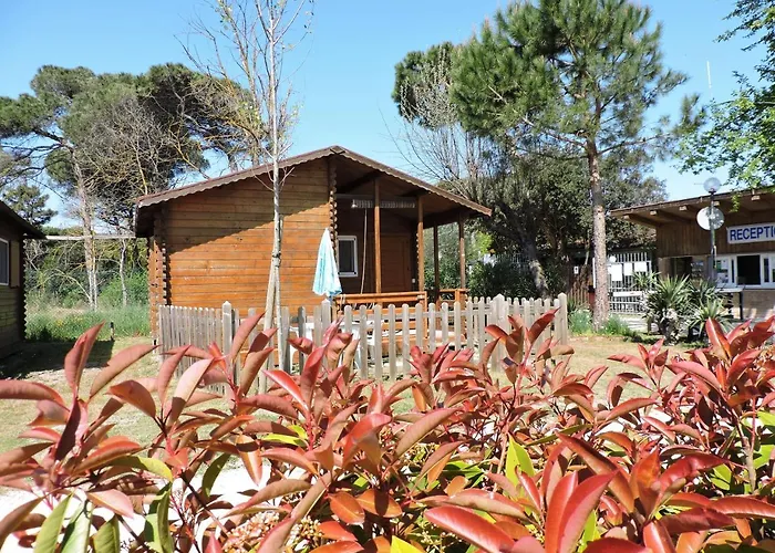 Campsite Reno Village