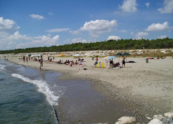 Reno Village Campsite